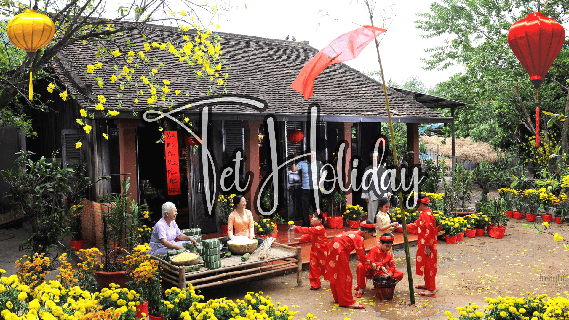 Insight Viettravel | Leading reputable travel company in Vietnam.