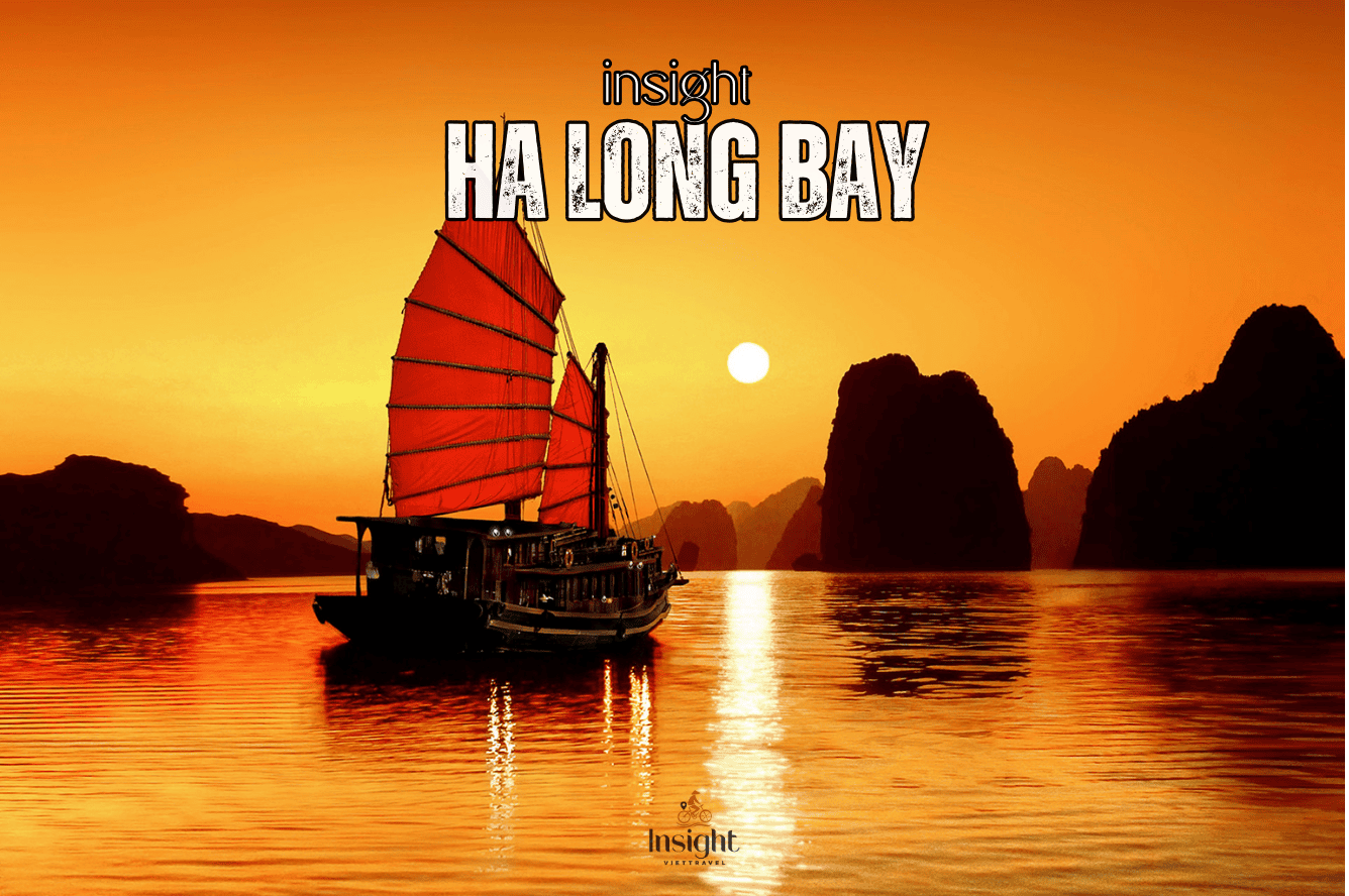 Insight Viettravel | Leading reputable travel company in Vietnam.