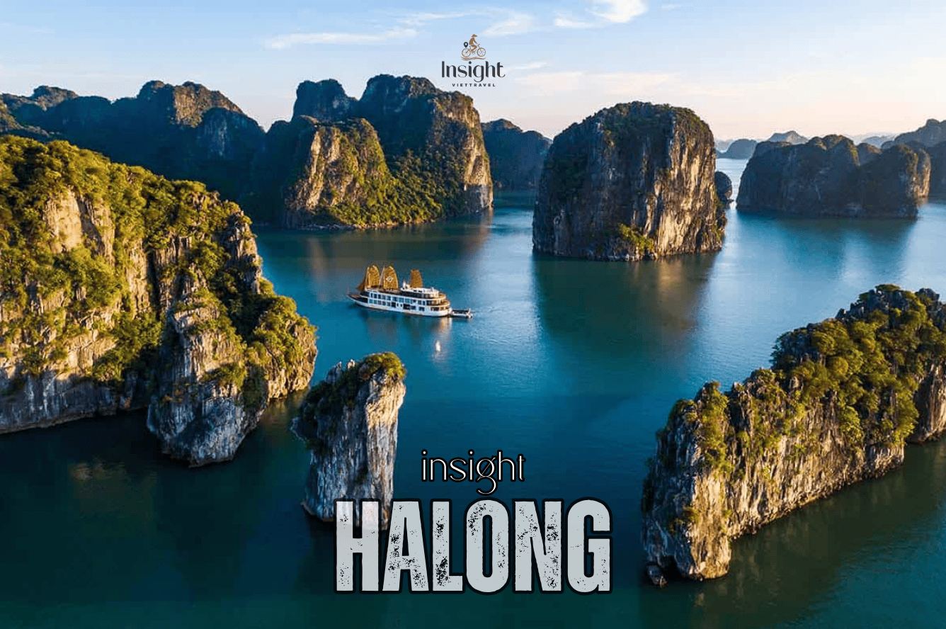 Insight Viettravel | Leading reputable travel company in Vietnam.