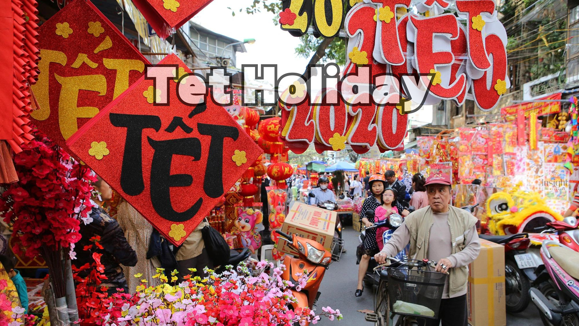 Insight Viettravel | Leading reputable travel company in Vietnam.