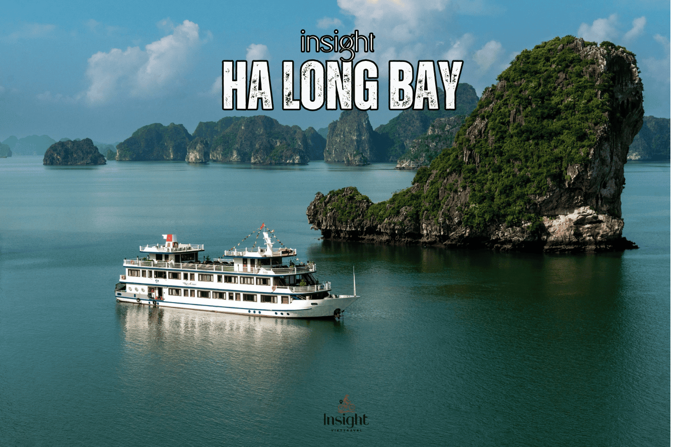 Insight Viettravel | Leading reputable travel company in Vietnam.