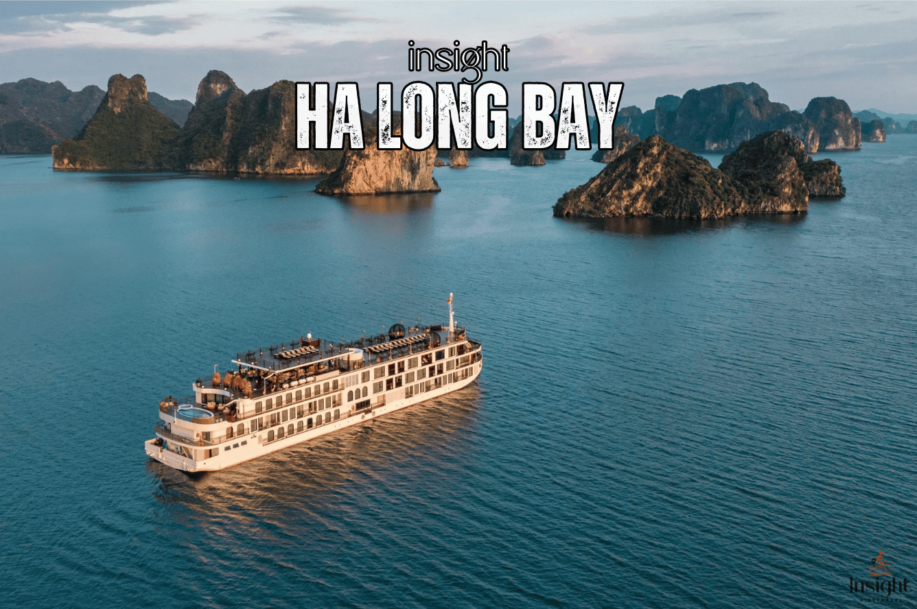 Insight Viettravel | Leading reputable travel company in Vietnam.