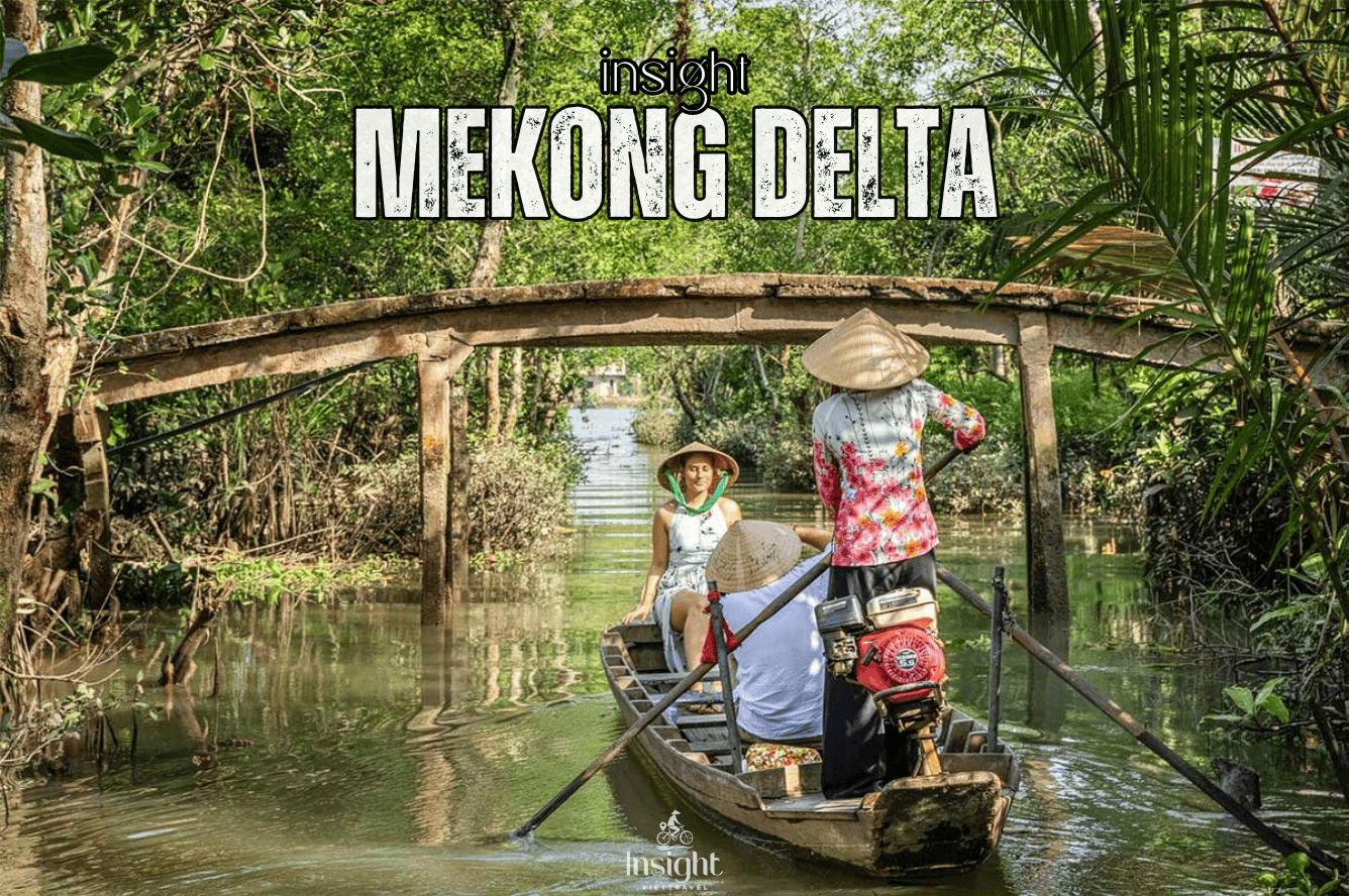 Insight Viettravel | Leading reputable travel company in Vietnam.