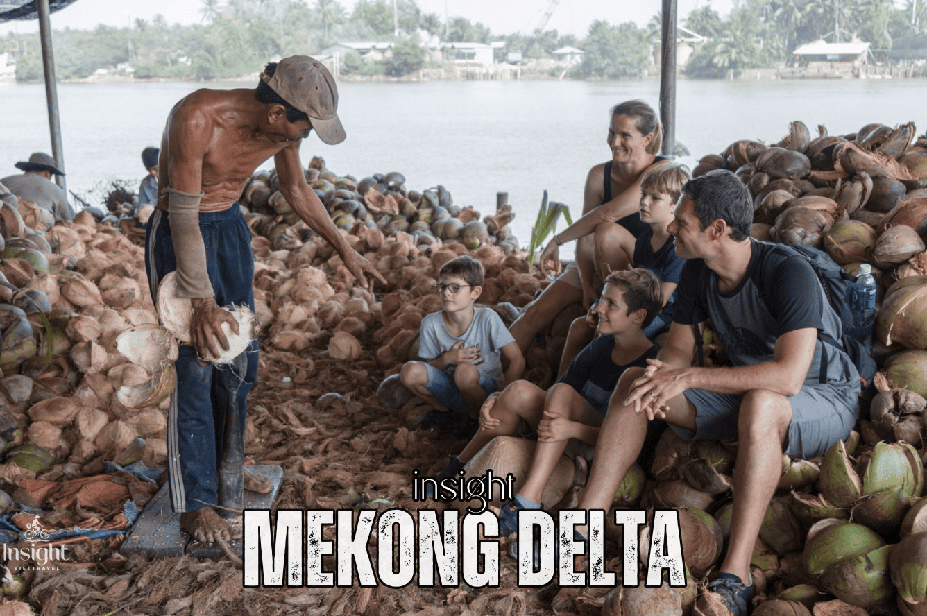 Insight Viettravel | Leading reputable travel company in Vietnam.